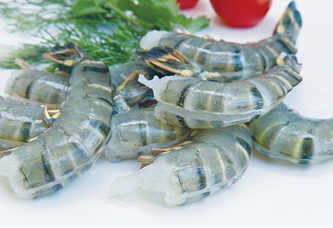 Raw Headless Shell-on Easy Peeled